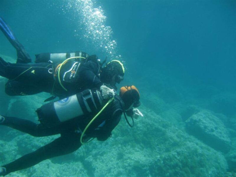alghero-discovery-diving-lesson-for-beginners