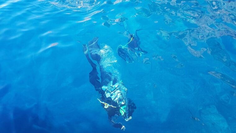 alghero-discovery-diving-lesson-for-beginners