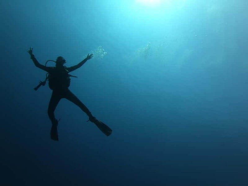 Alghero: Diving - The Experience’s Highlights and What Makes It Special