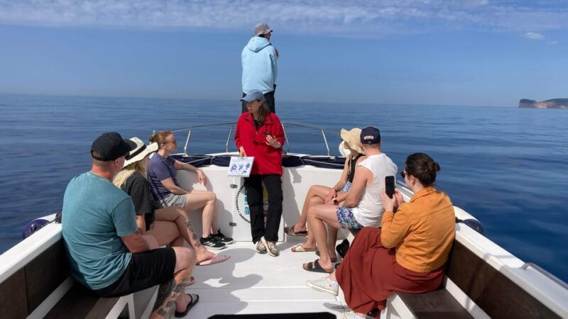 alghero-dolphin-watching-tour-with-marine-biologists