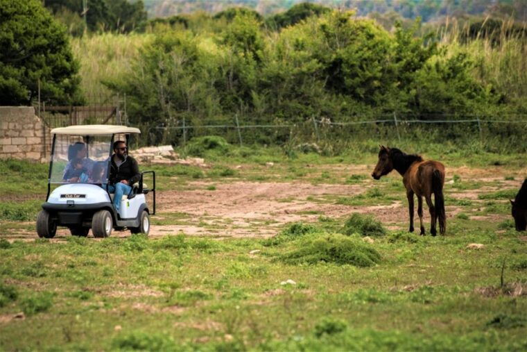 alghero-golf-car-hire-in-porto-conte-natural-park