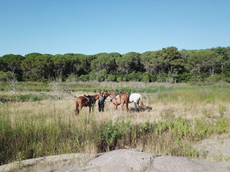 alghero-guided-horseback-ride-at-lake-baratz-porto-ferro