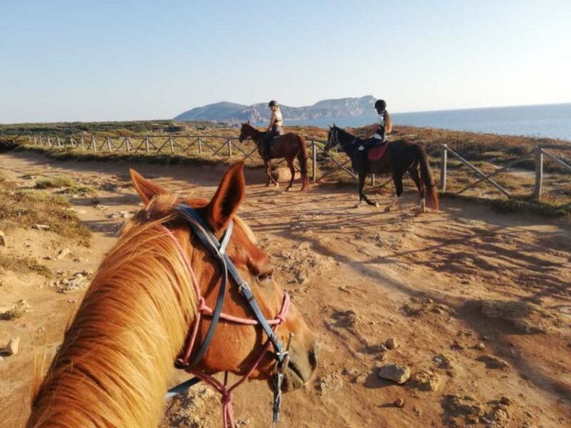 alghero-guided-horseback-ride-at-lake-baratz-porto-ferro