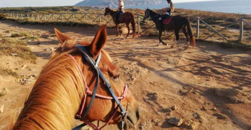 alghero-guided-horseback-ride-at-lake-baratz-porto-ferro