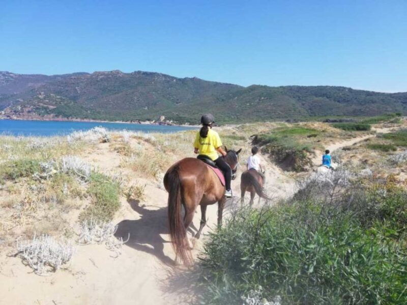 alghero-guided-horseback-ride-at-lake-baratz-porto-ferro