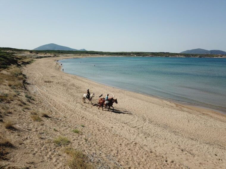 alghero-guided-horseback-ride-at-lake-baratz-porto-ferro
