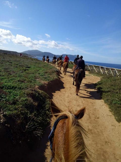 alghero-horseback-riding-for-experts-in-lake-baratz