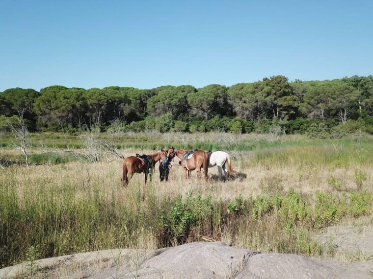 alghero-horseback-riding-for-experts-in-lake-baratz