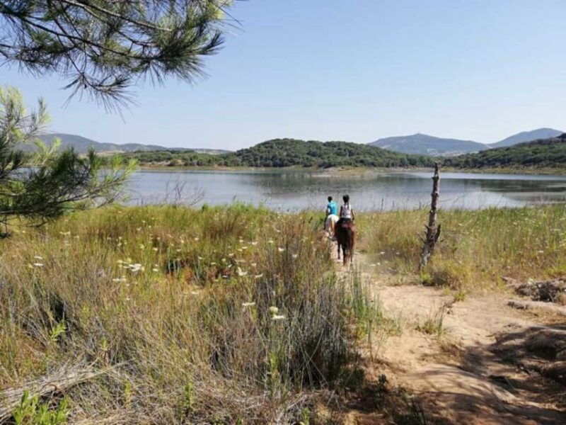 alghero-lake-baratz-guided-horseback-ride