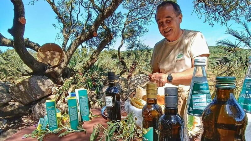 Alghero: Olive Grove Visit with Olive Oil Tasting - What You Can Expect from This Olive Oil Tour in Alghero