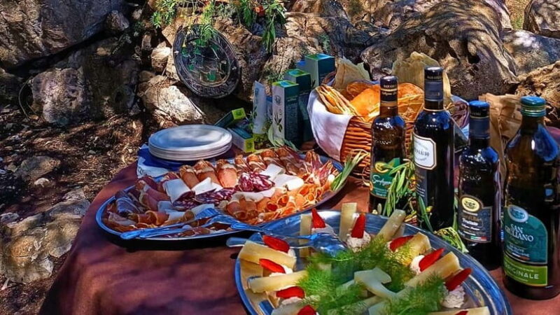 Alghero: Olive Grove Visit with Olive Oil Tasting - The Authentic Charm of a Sardinian Olive Grove