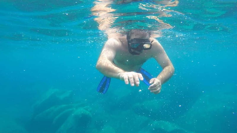 Alghero: Trekking and Snorkelling Tour in Porto Conte Park - Final Thoughts