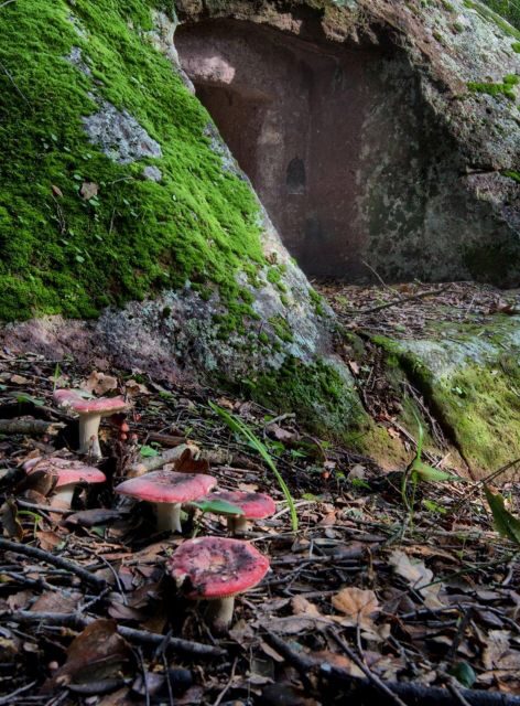 Alghero: trekking in the Porto Conte park - Practical Details and Tips