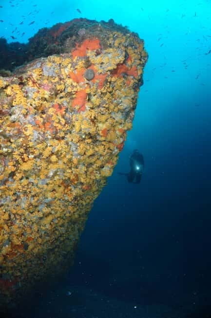 Alghero: Try dive. Scuba diving for beginners. - Practical Tips for Your Dive Day