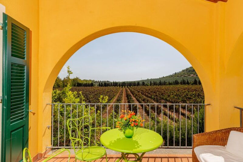 alghero-wine-and-olive-oil-tasting-at-a-local-farm