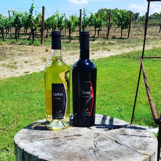 alghero-wine-tasting-w-local-aperitif-in-the-vineyard
