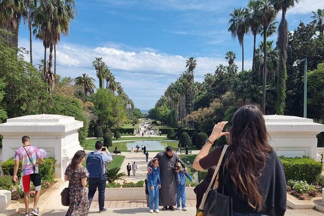 Algiers Private City Tour - Final Thoughts: Is This Tour Right for You?