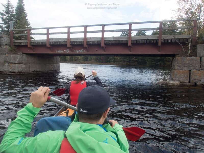 algonquin-park-canoe-camping-safari