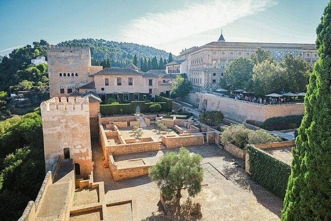 alhambra-and-nasrid-palaces-skip-the-line-ticket-and-local-guide