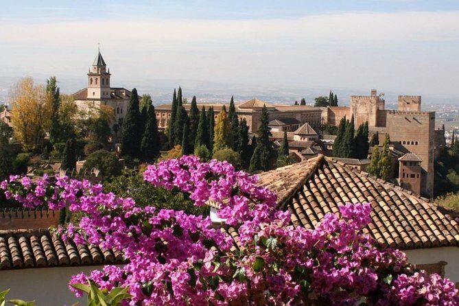 Alhambra &Charles Palace Guided Tour with Optional Nasrid Palaces - Practical Tips for Visitors