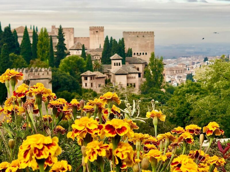 Alhambra: Guided Private Tour with Fast-Track Entry - Practical Tips for Your Visit