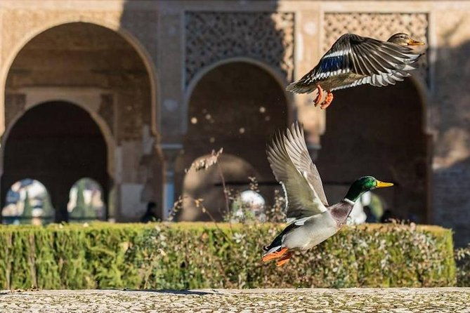 alhambra-private-small-group-tour-nasrid-palaces-skip-the-line