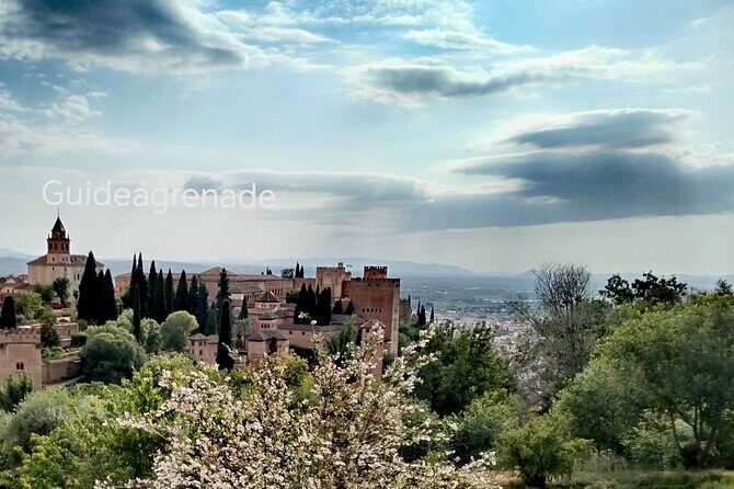 Alhambra Private Tour: Nasrid Palaces and Generalife - An In-Depth Look at the Alhambra Private Tour