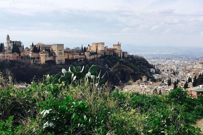alhambra-private-tour-without-tickets-total-group-max-15-people-2