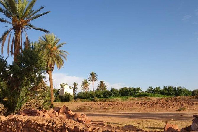Ali Baba Oasis And The Old Medina Of Taroudant Private Day Tour - The Sum Up: Is This Tour for You?