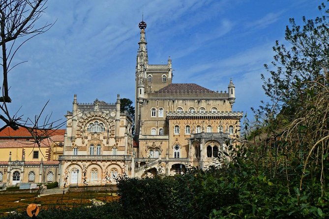 alianca-underground-museum-and-bussaco-forest-coimbra