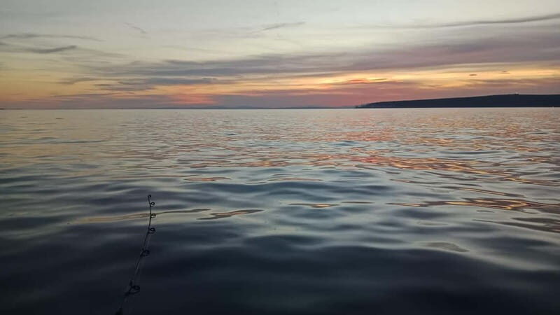 Alicante 5-Hour Fishing Excursion with Pro Fishing Guide - Pricing and Value