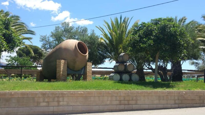 Alicante and Elche: Guided tour of winery + wine tasting / private transportation - Key Points