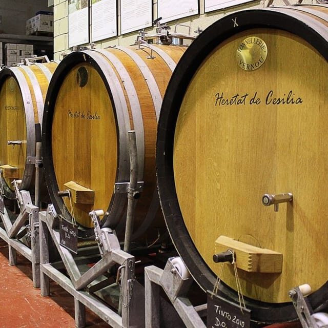 Alicante and Elche: Guided tour of winery + wine tasting / private transportation - Final Thoughts