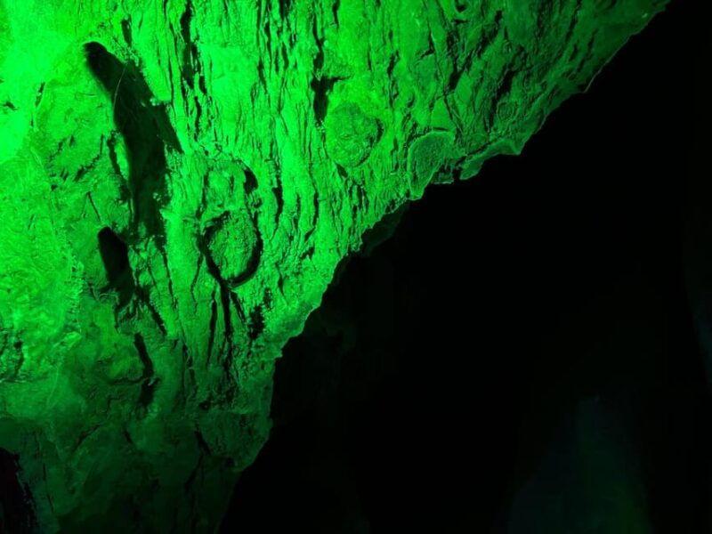 alicante-canelobre-caves-and-busot-tour