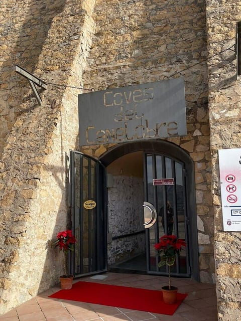alicante-canelobre-caves-busot-tour-including-transfer