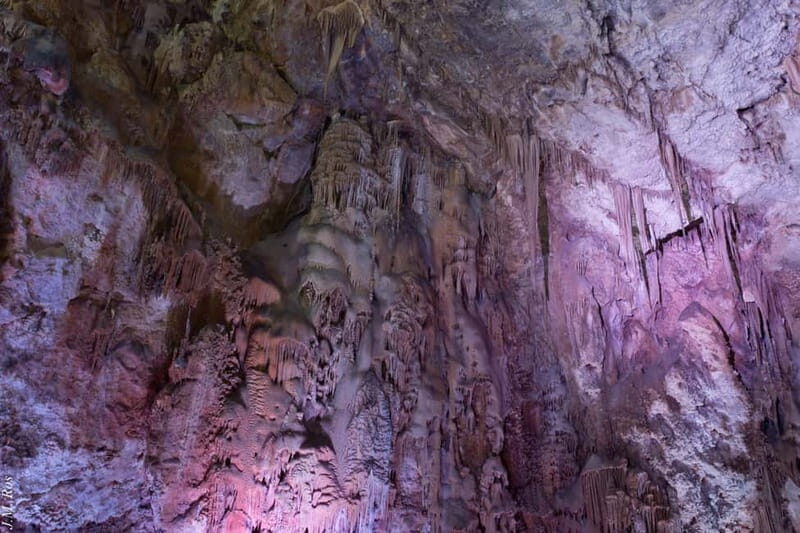 Alicante: Canelobre Caves & Busot Tour with Local Guide - Who Will Love This Tour?