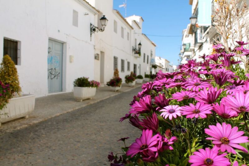 Alicante Charming Villages Tour: Villajoyosa and Altea - The Itinerary: A Day of Scenic Beauty and Cultural Charm