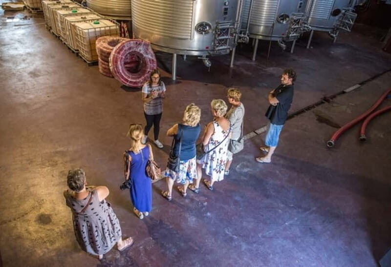 Alicante: Countryside Wine Tour with 4 Tastings - The Downside: Things to Keep in Mind