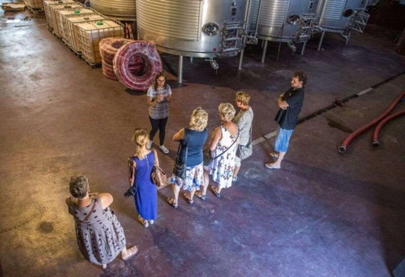 alicante-guided-tour-of-local-winery-wine-tasting
