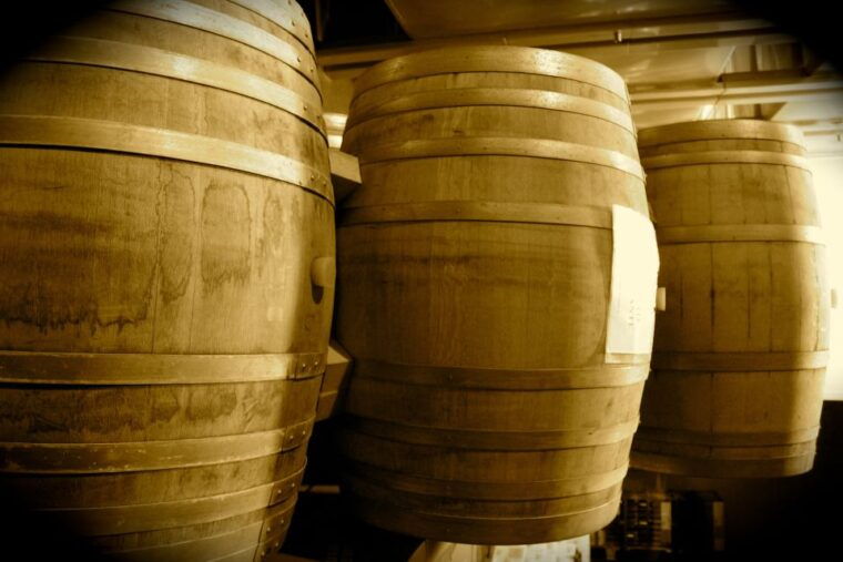 alicante-guided-tour-of-local-winery-wine-tasting