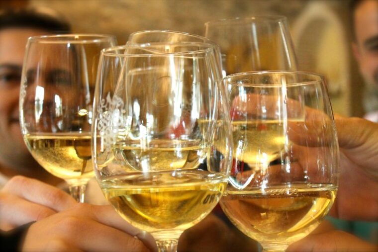 alicante-guided-tour-of-local-winery-wine-tasting