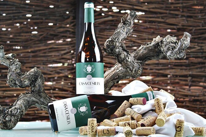 alicante-old-winery-tour-and-wine-tasting-including-transfer