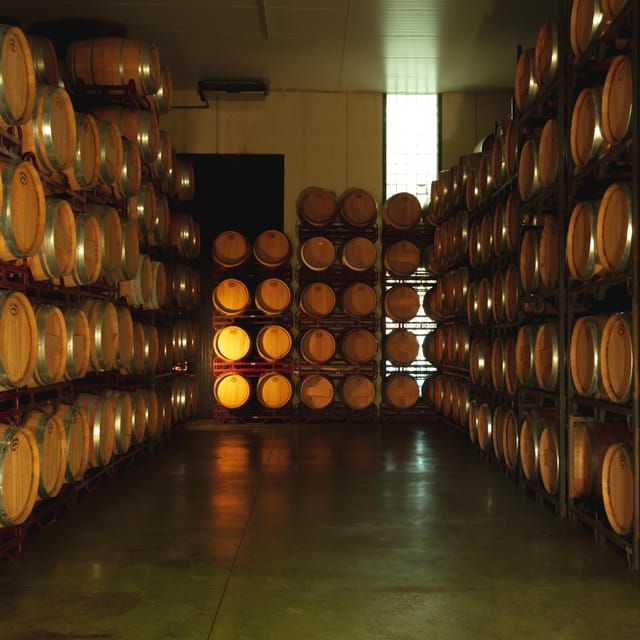 alicante-pinoso-tour-experience-back-from-the-vineyard-to-the-glass