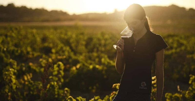 alicante-pinoso-tour-experience-back-from-the-vineyard-to-the-glass