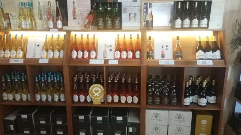 Alicante: Premium Tour of the winery. The best wines. Private transportation. - Key Points