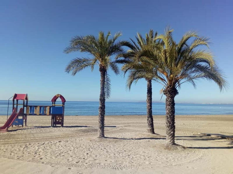 Alicante: Private Bicycle Tour of the Beach and History - Key Points