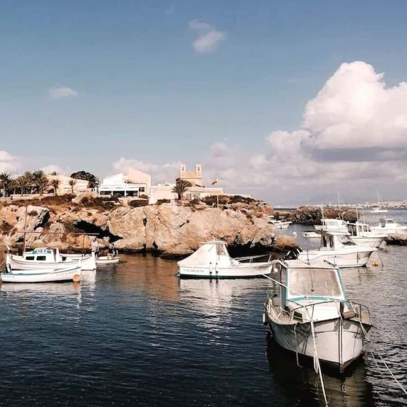 Alicante/Torrevieja: Excursion to Tabarca by ferry, Santa Pola, and Laguna Rosa - An In-Depth Look at the Tour Experience  