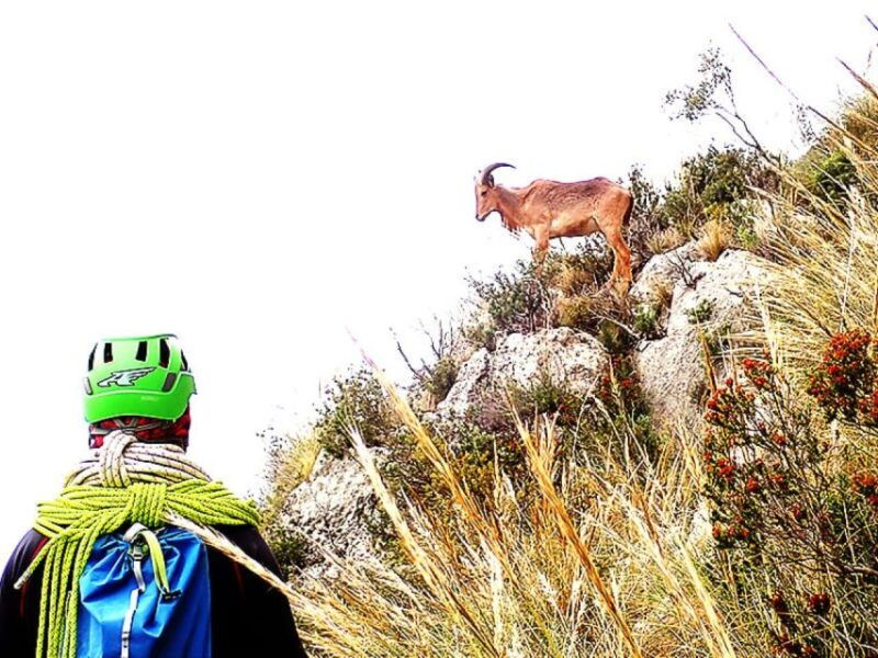 alicante-via-ferrata-del-ponoig-guided-trek-and-climb