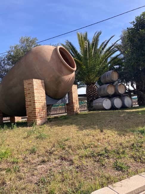 Alicante: Wine tasting tour with transfer - A Deep Dive into the Tour Experience