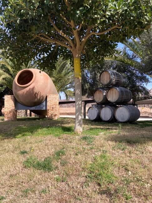 Alicante: Wine tasting tour with transfer - Who Should Book This Tour?